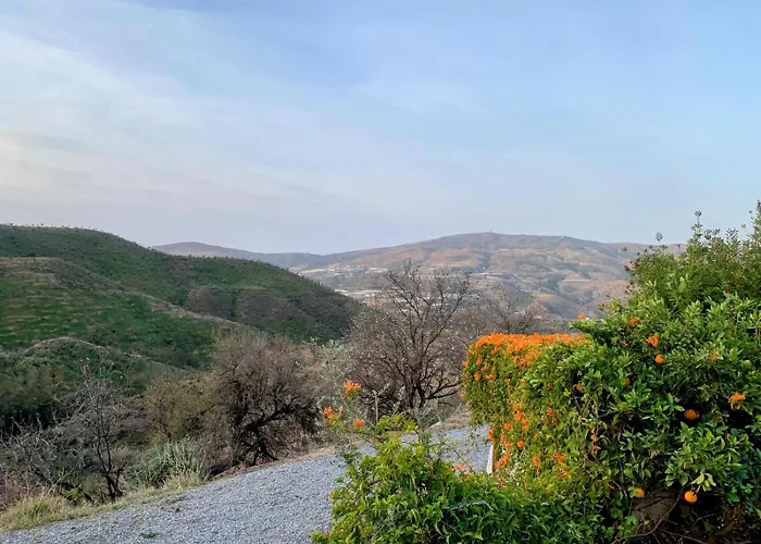 Cortijo Grande *